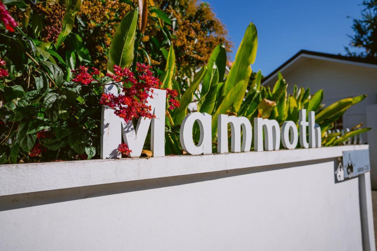 Mammoth Boutique Hotel Chiang Mai Extérieur photo